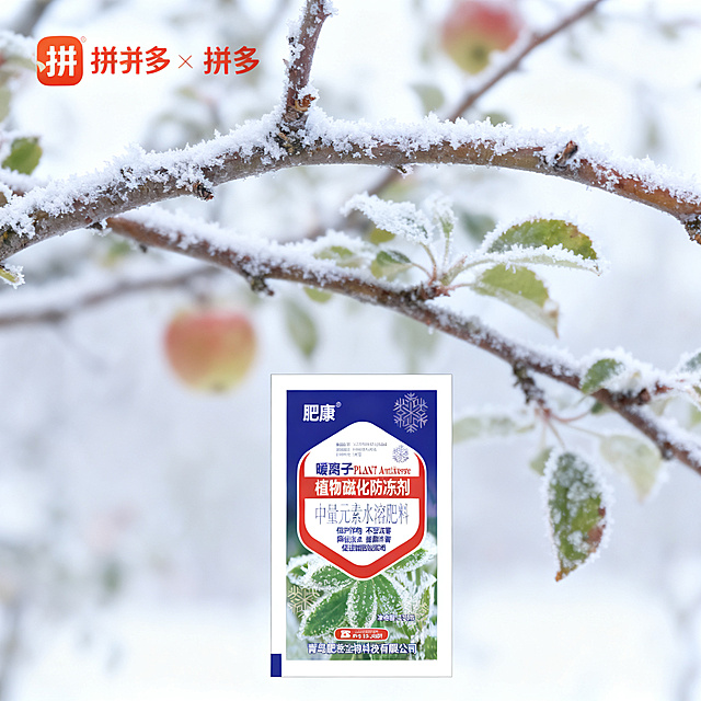 果树防冻应用场景主图，比例1:1，拼多多风格，展示带霜的苹果树枝条，产品包装放在画面下方，突出对果树花芽幼果的防冻保护，自然清新风格