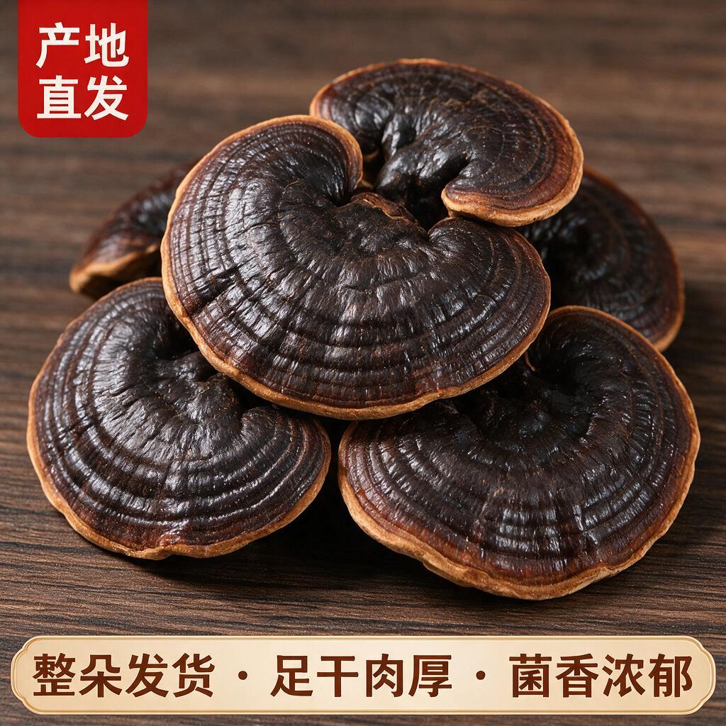 拼多多电商主图，长白山小灵芝产品特写，多朵整朵灵芝错落摆放，深… - 图片创意预览