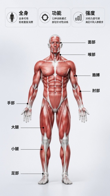[第9屏] 全身适用部位展示，标注可训练位置，宽度1080像素，高度1920像素。
[氛围/风格] 专业解剖示意图风格，浅灰白色渐变背景，清晰直观。
[元素布局] 顶部三个核心优势信息块，中部人体肌肉预览效果
