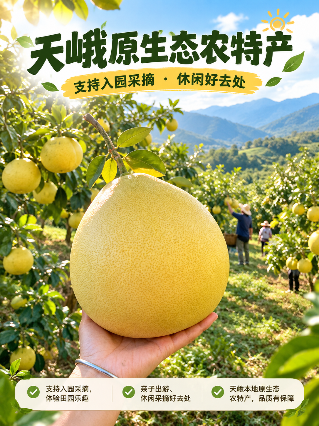 [商品] 使用【图1】高山果园全景、【图5】手捧蜜柚图；保留果… - 图片创意预览