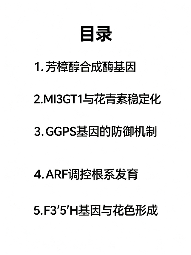 电子科普手册目录页，标题“目录”，列出五个章节：1.芳樟醇合成酶基因 2.MI3GT1与花青素稳定化 3.GGPS基因的防御机制 4.ARF调控根系发育 5.F3'5'H基因与花色形成，风格简约清晰，科学科普风，白底清晰文字排版