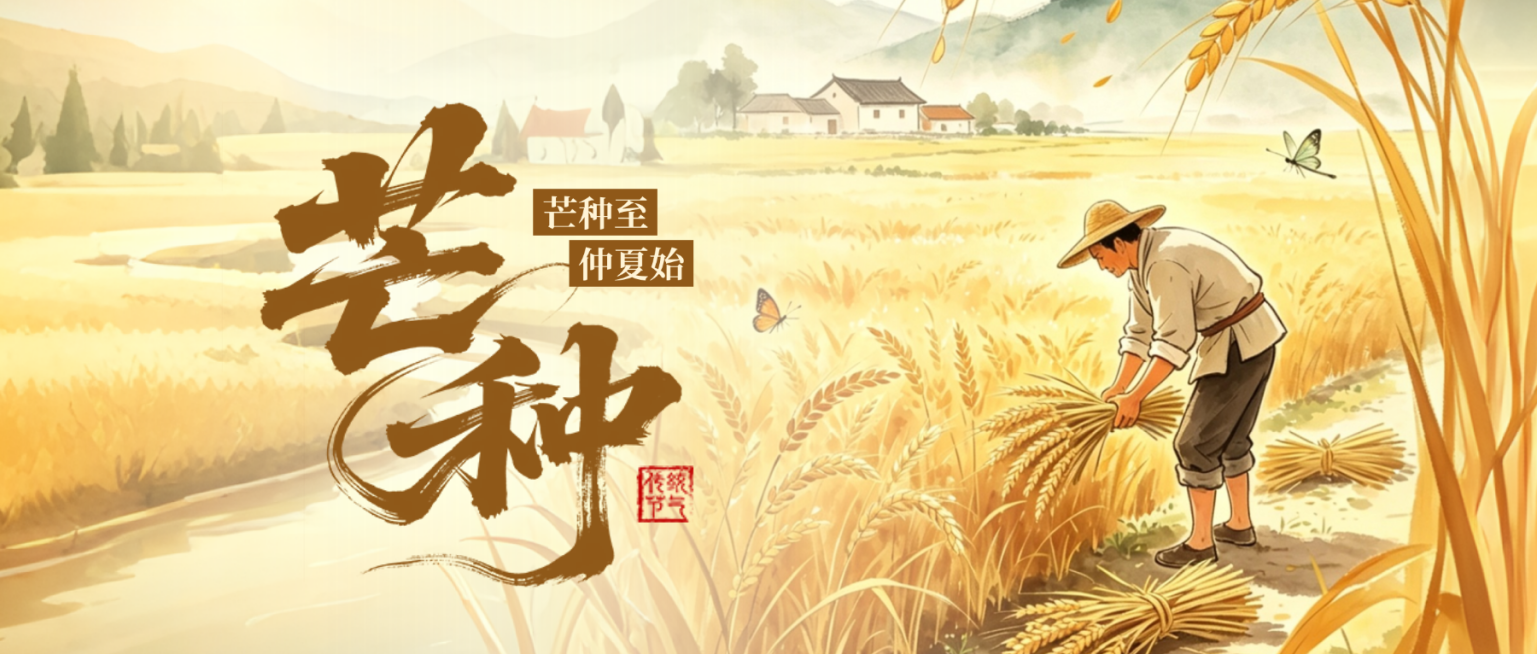 芒种节气祝福温馨感通用微信公众号首图预览效果