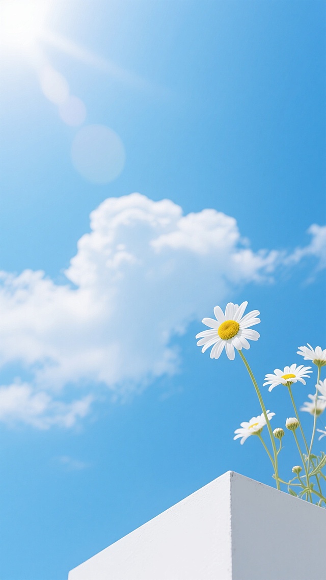 明亮通透的摄影风格，纯净的蔚蓝色天空占据画面大部分空间，点缀着形态自然、边缘柔和的白色积云，阳光从左上角洒落形成淡淡的光晕效果，画面底部有白色立方体结构，几朵白色小雏菊（中心黄色）从右下角伸出，花瓣舒展，花茎纤细，整体构图简洁清新，色彩明快，营造出宁静、治愈、充满春日气息的氛围，光线柔和且具有通透感，无文字和装饰元素。