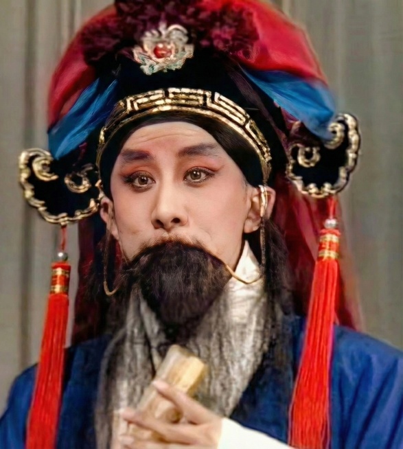 把帽子两边蓝色的穗子改成红色，其他不变预览效果
