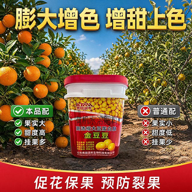 电商主图第四张 膨果增甜效果展示。画面左右对比展示 左侧使用金豆豆的果树 果实饱满硕大 色泽鲜艳 挂果多 叶片浓绿 长势旺盛。右侧使用普通肥料的果树 果实小而少 色泽暗淡 长势一般。中间放着一桶金豆豆有机水溶肥 标签外观与参考图完全一致 所有文字颜色排版100%不变。背景是果园场景 阳光明媚。顶部大标题 膨大增色 增甜上色 金色粗体大字。左侧本品配对勾 果实大 甜度高 挂果多。右侧普通配叉号 果实小 甜度低 挂果少。底部文字 促花保果 预防裂果。1比1比例 超高清商业摄影质感 标签内容颜色排版与参考图完全一致。