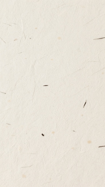 一张具有自然质感的米白色纸张纹理背景，纸张表面布满细密的纤维纹路，呈现出手工纸特有的粗糙感和不规则纹理，散布着少量细小的深色纤维杂质和浅色斑点，整体色调柔和统一，光线均匀，营造出质朴、自然、复古的氛围，适合作为设计背景使用。预览效果