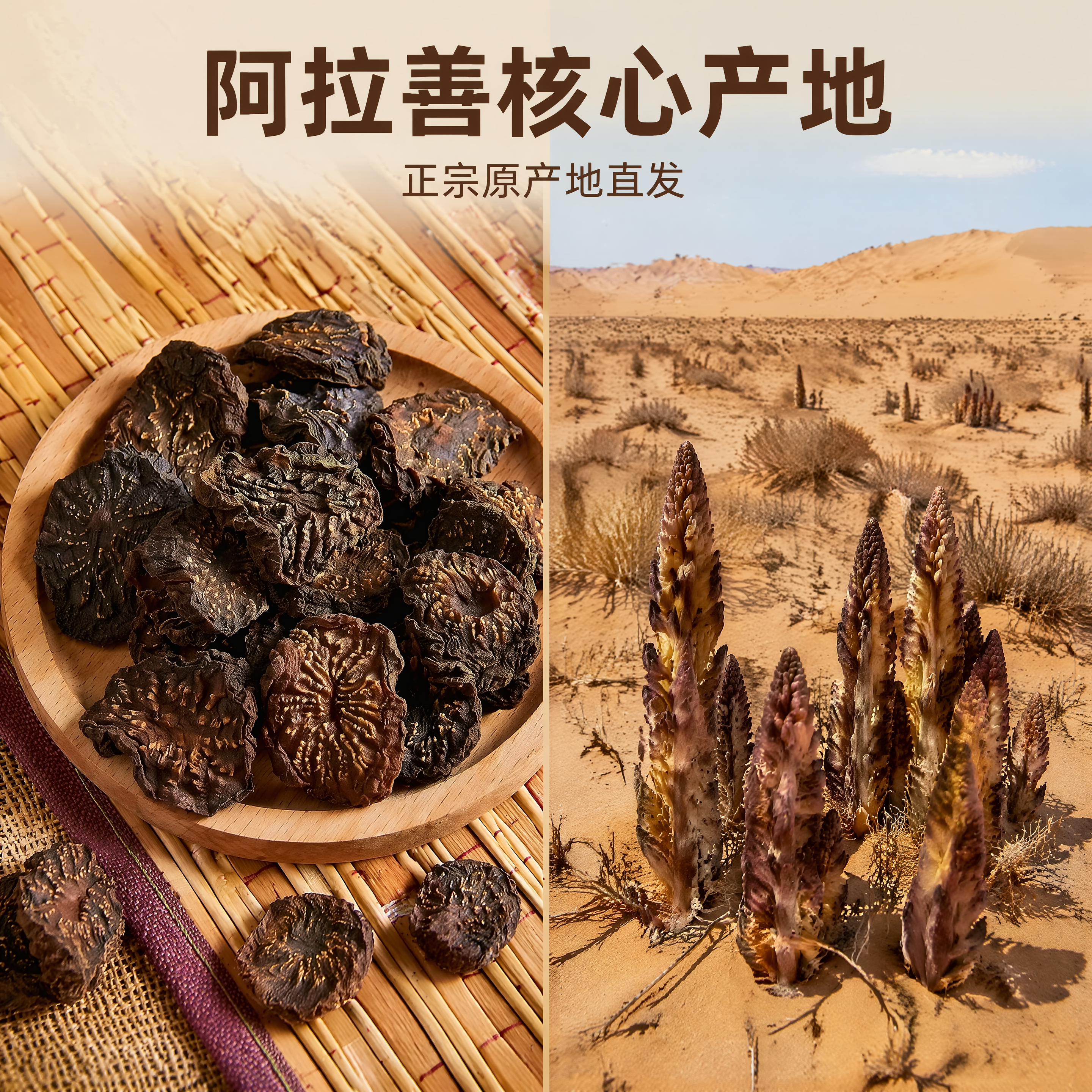 [主图-2] 荒漠肉苁蓉产地溯源展示。 [氛围风格] 自然沙漠… - 图片创意预览
