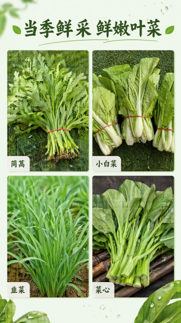 [第3屏] 叶菜类集合展示屏，展示茼蒿、小白菜、韭菜、菜心四种鲜嫩叶菜。
[氛围/风格] 新鲜自然，鲜嫩欲滴，清新干净的生鲜展示风格，商业写实摄影。
[元素布局] 采用2x2网格版式，每个网格展示一款预览效果