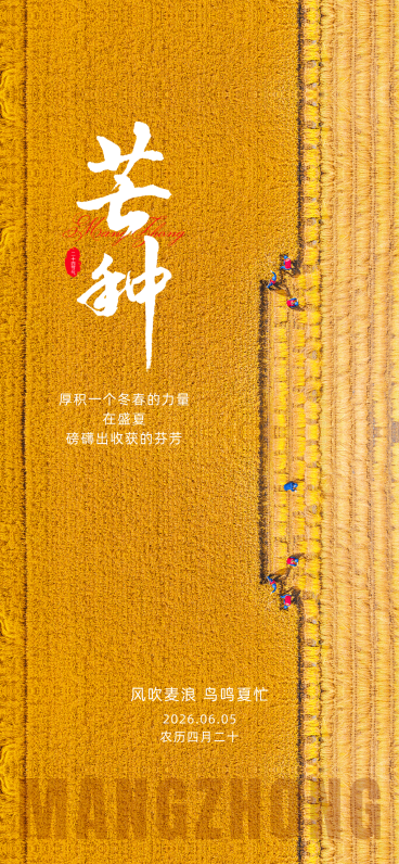 芒种二十四节气写实风景手机全屏海报预览效果