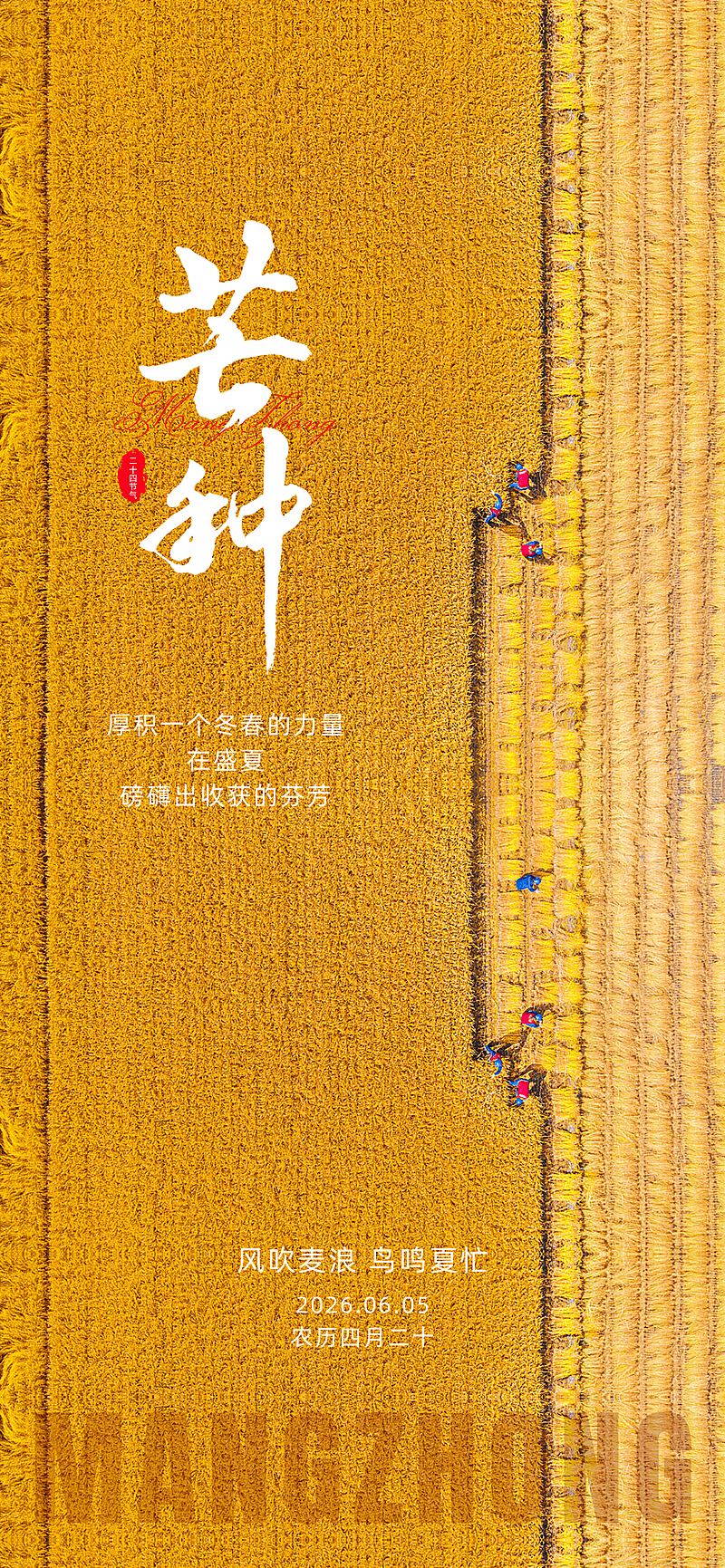 芒种二十四节气写实风景手机全屏海报