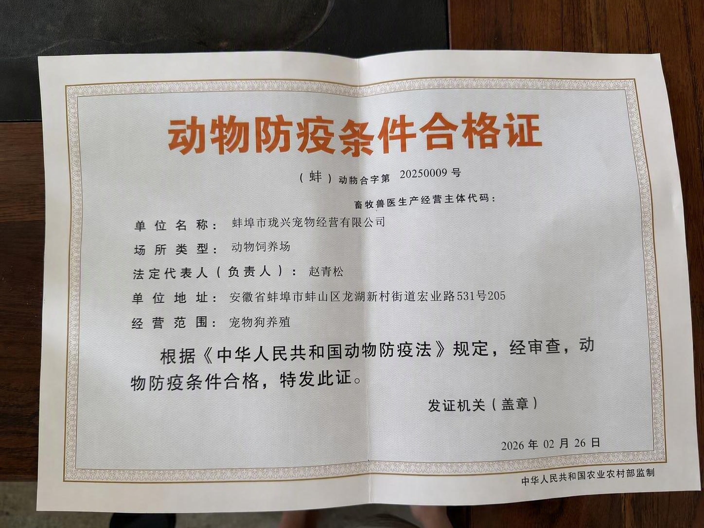 移除右下角的红色公章，公章移除后用周围证书的白色底纹纹理完美填… - 图片创意预览