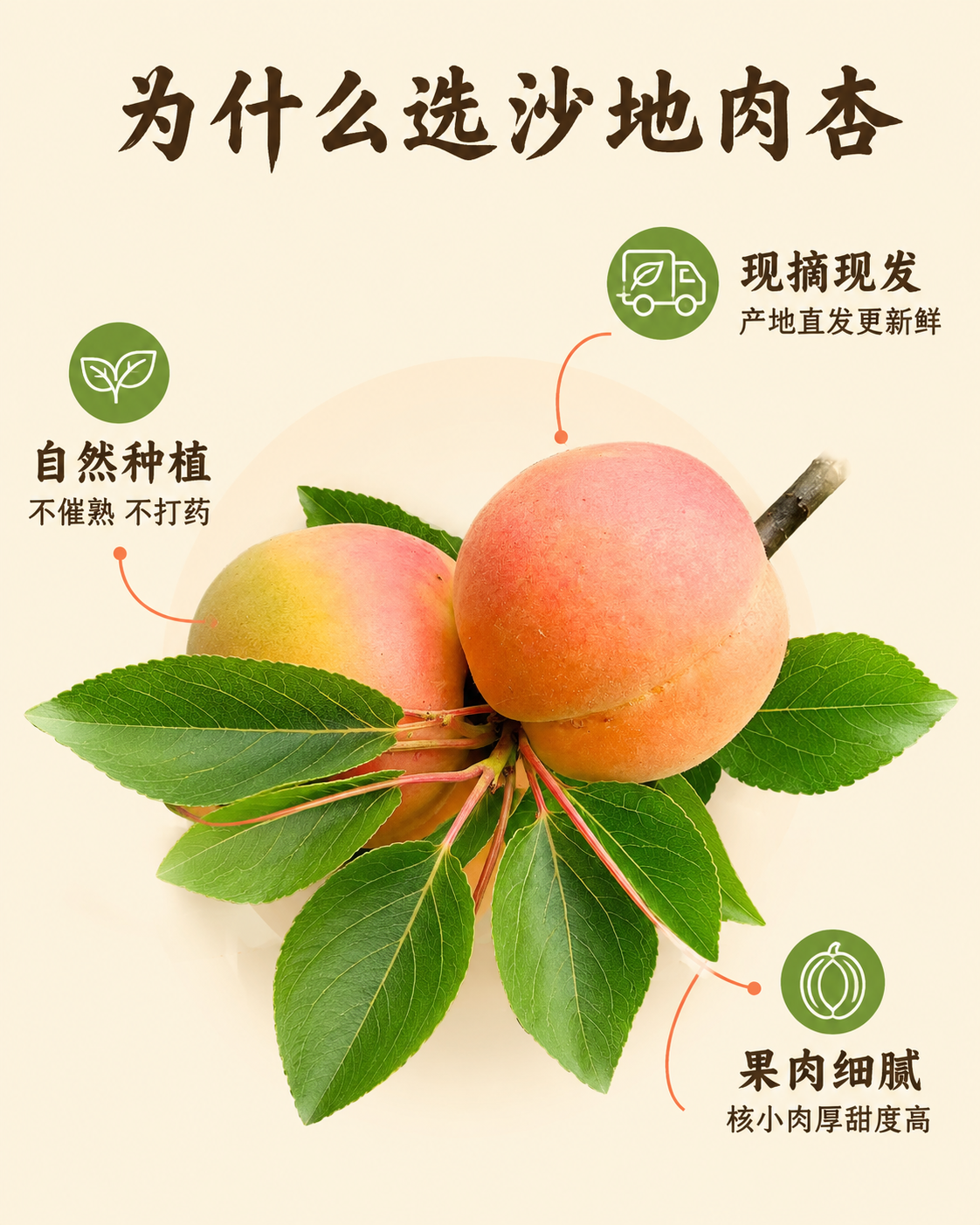 「图片1」，生成一套详情页，商品名称为沙地肉杏，适配抖音/快手… - 图片创意预览