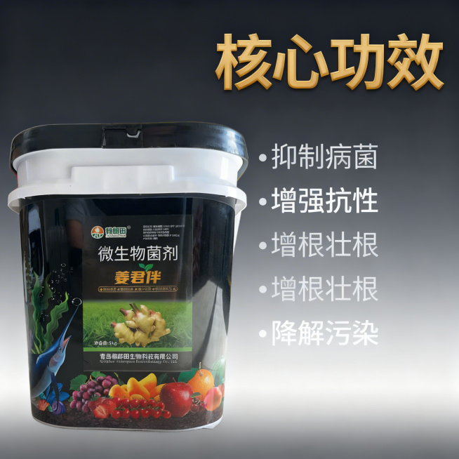 [主图 2] 姜君伴微生物菌剂核心功效亮点展示
[氛围风格] 专业清晰，信息层级直观
[画面元素] 商业摄影质感、光线柔和通透、产品清晰真实、画面干净高级。产品保持原有外观放置在画面左侧，右侧区域分点预览效果