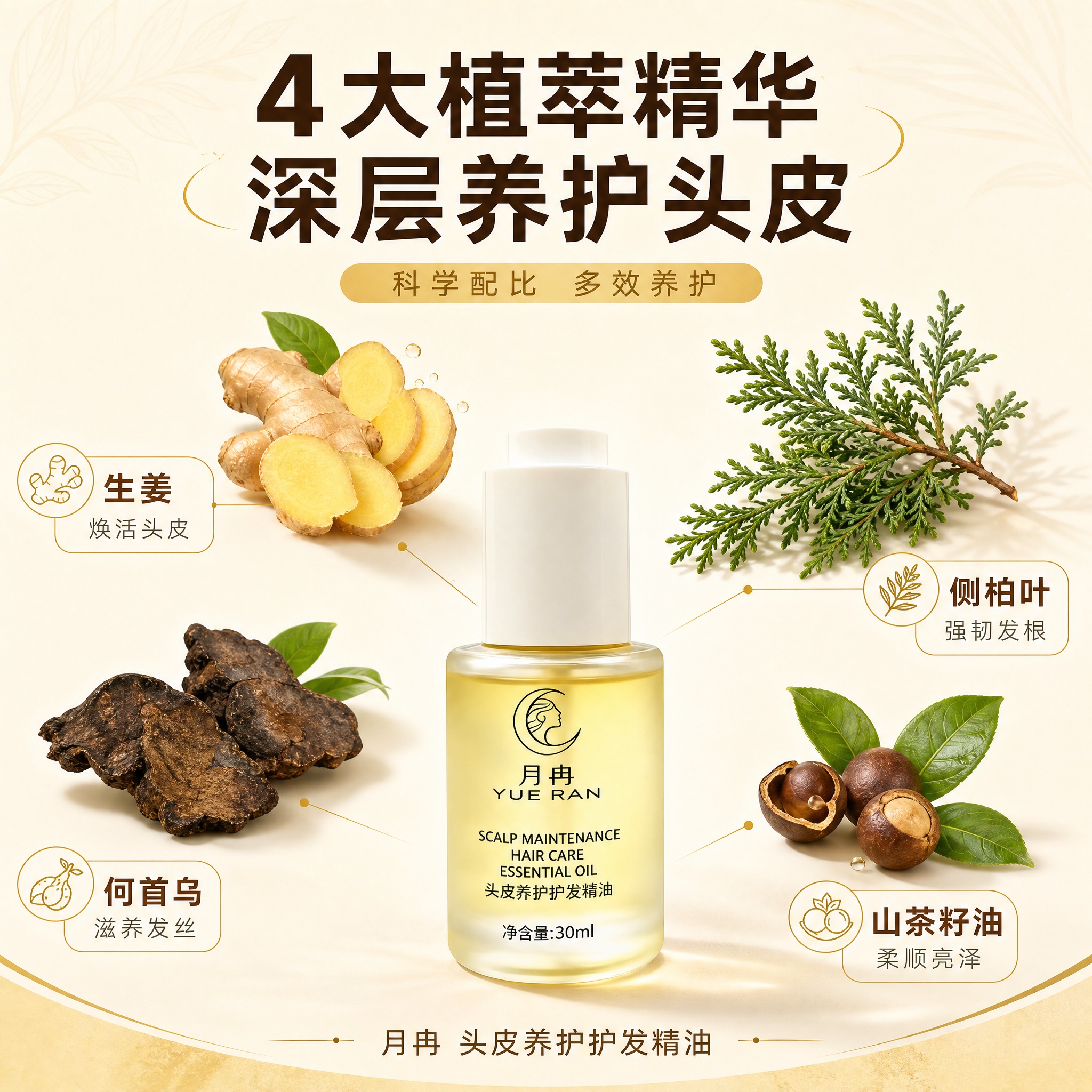 [主图-2] 核心功效成分解析，月冉头皮养护护发精油，展示植萃… - 图片创意预览