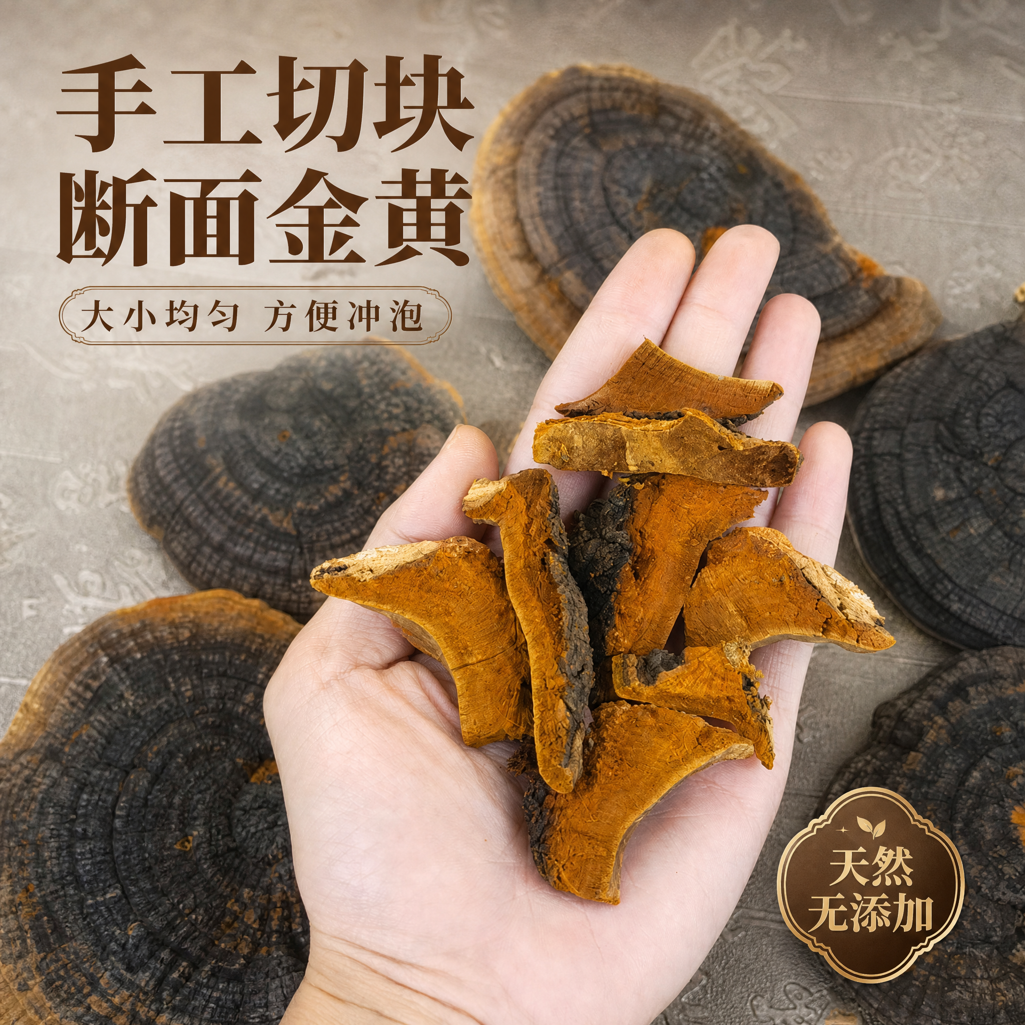 [主图-3] 桑黄切片品质 材质细节种草 突出切面质感 [统一… - 图片创意预览