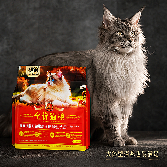 [主图-15] 缅因猫大型猫食用展示图。[氛围风格] 大气实拍风格，展示全品种适配。[画质] 商业摄影质感、光线柔和通透、产品清晰真实、画面干净高级、4k超高清。[元素] 猫粮包装袋放在前景，一只大体型帅气缅因猫站在包装袋后方，体型对比突出大包装大容量，适合大型猫食用。保持猫粮包装袋外观、所有文字信息与输入产品图绝对一致，杜绝任何变形、色差和文字错乱。商品主体占比控制在65%。[光影] 侧光突出缅因猫毛发蓬松感和产品立体感。[配色] 深灰色工业风背景，衬托产品和猫咪高级感。[文字版式] 右下角小字："大体型猫咪也能满足"，点明适用范围。[比例分辨率] 1:1 比例，4k分辨率；文字清晰锐利，超高清。[负向提示词] 变形，水印，文字错乱，产品图模糊，背景杂乱，猫粮包装信息改变。