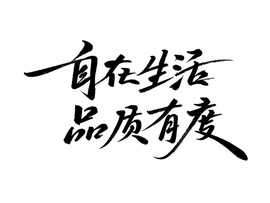 保留文字"自在生活 品质有度"的书法样式不变，将背景修改为纯白色，黑色文字，背景为纯白色，干净纯色背景。画面中只能出现这八个字："自"、"在"、"生"、"活"、"品"、"质"、"有"、"度"，不得增加预览效果