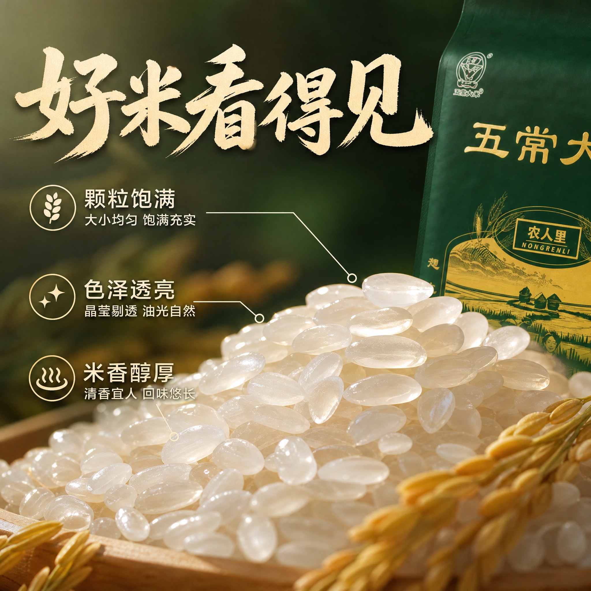 [主图-3] 细节微距 米粒品质特写 展示颗粒饱满与米质油亮… - 图片创意预览