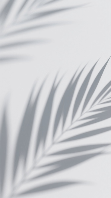 极简主义风格的抽象光影背景，以纯白色为基调，柔和的灰色植物叶片阴影以倾斜角度自然分布，形成疏密有致的线性纹理，光影过渡平滑自然，整体营造出宁静、简约、通透的氛围，具有现代设计感的留白美学，画面干净无杂物。预览效果