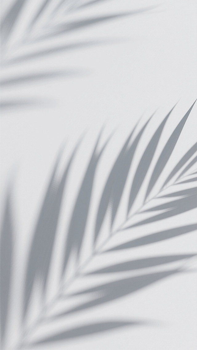 极简主义风格的抽象光影背景，以纯白色为基调，柔和的灰色植物叶片阴影以倾斜角度自然分布，形成疏密有致的线性纹理，光影过渡平滑自然，整体营造出宁静、简约、通透的氛围，具有现代设计感的留白美学，画面干净无杂物。