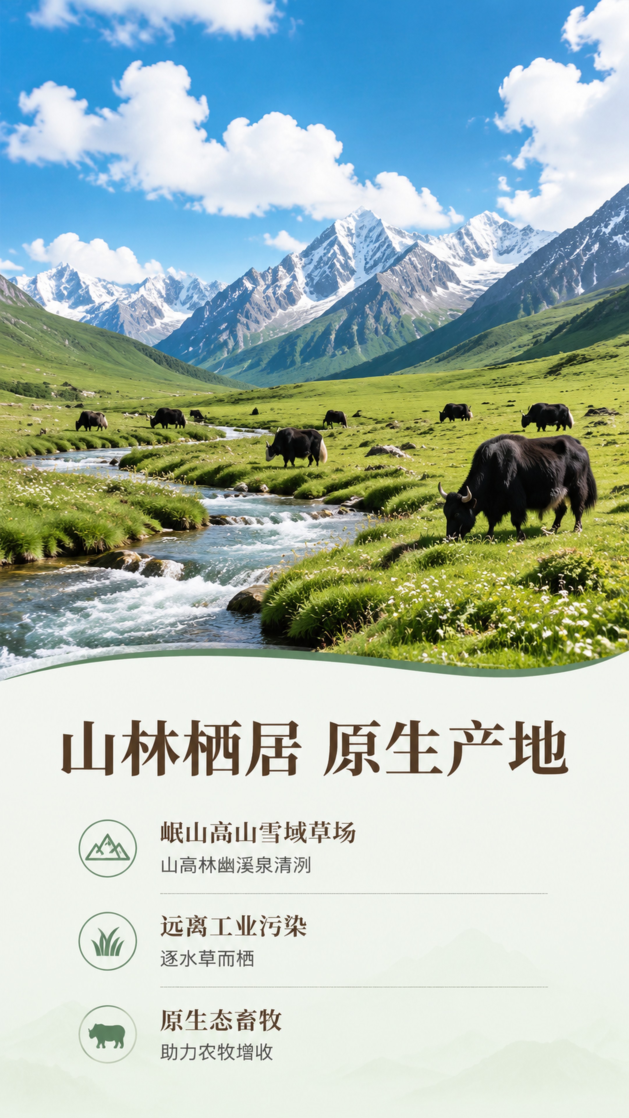 [第2屏] 产地环境篇，介绍平武高山散养牦牛的生长环境。本屏生… - 图片创意预览