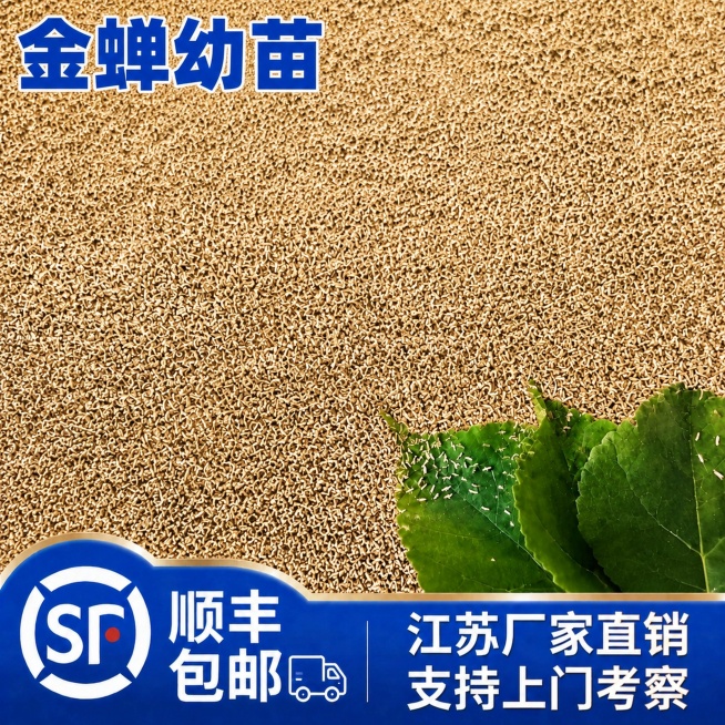 「图片1」生成一套金蝉幼苗的主图预览效果