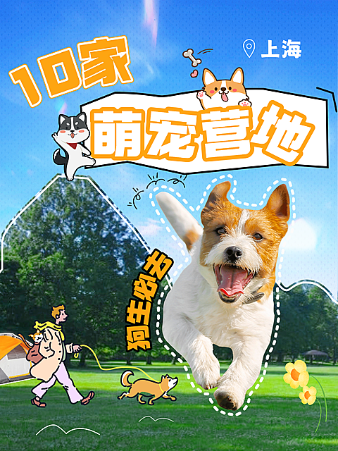 宠物度假旅游露营攻略插画花字排版小红书封面