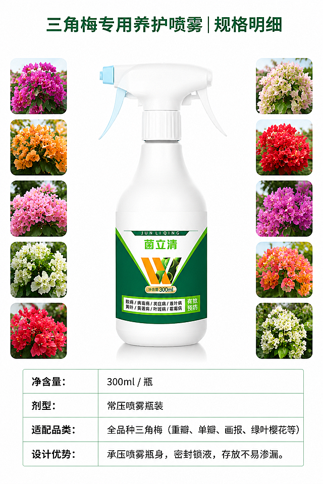 [第5屏] 本屏功能定义：产品规格参数展示屏，清晰展示三角梅专用养护喷雾的规格明细，使用用户提供的【图1】作为喷雾产品主体，保留产品原有外观结构与文字信息不变。
[氛围/风格] 极简ins园艺风，8K高清产品静物摄影，干净通透，专业简约。
[元素布局] 纯白透明底背景，整瓶三角梅喷雾居中平放，完整展示瓶身；产品侧边搭配多款不同花色三角梅的小缩略图，右下角区域用表格规整排版参数文字；产品占据画面中心约60%区域，文字表格排列整齐，整体简洁干净。保留喷雾瓶原有结构、颜色和文字信息不变。
[光影质感] 均匀柔和的棚拍光影，产品边缘清晰，瓶身质感真实，高光自然，没有明显硬阴影，整体干净透亮。
[配色色系] 全局底色：#ffffff（纯白透明）；主体配色：白色喷雾瓶+深绿标签+多彩三角梅花；表格线条：浅绿，文字：黑色。
[视角构图] 正面居中平视构图，整体对称简洁，参数表位于右下角，不遮挡产品主体，符合竖版阅读顺序。
[文字版式] 顶部标题“三角梅专用养护喷雾｜规格明细”，加粗深绿色，顶部居中；参数表格内容：净含量：300ml / 瓶；剂型：常压喷雾瓶装；适配品类：全品种三角梅（重瓣、单瓣、画报、绿叶樱花等）；设计优势：承压喷雾瓶身，密封锁液，存放不易渗漏。表格规整排列，文字清晰，行间距适中，移动端可读。
[比例分辨率] 2:3竖版，2352*3520像素，4K分辨率，文字清晰可读。
[负向提示词] 产品变形，颜色偏差，包装文字错乱，表格排版错乱，背景杂乱，水印，文字模糊。