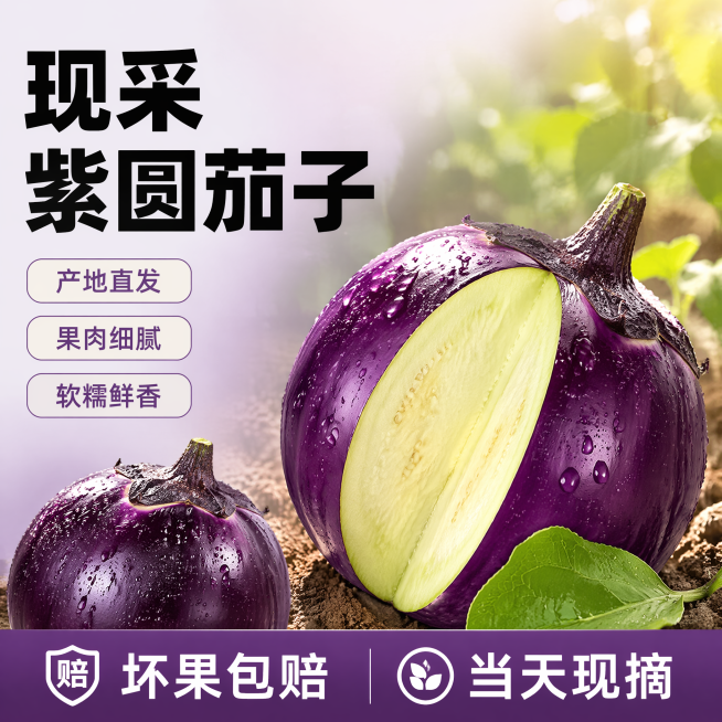 [单张主图] 紫皮圆茄子
爆款促销感主图，拼多多电商使用，兼顾点击转化和新鲜食欲感。
[画面主体] 完整紫皮圆茄子一个，带一片新鲜绿叶，斜向放置在画面右侧，展示一半切面，露出淡绿色茄肉；一个完整紫圆茄预览效果