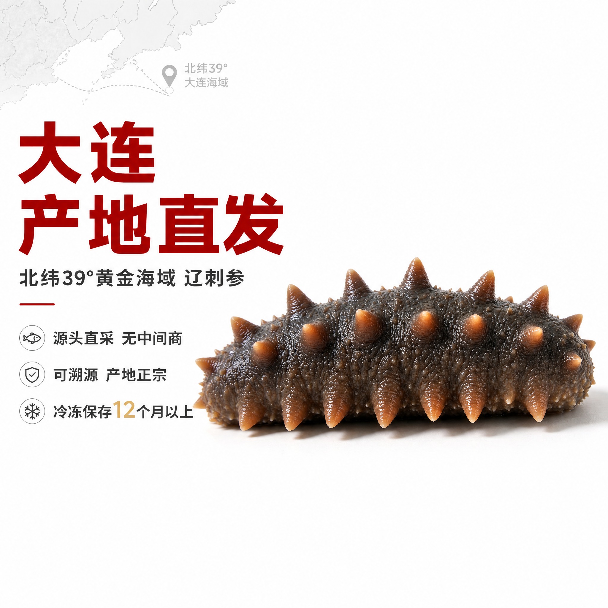 [主图-1] 大连辽刺参 首图 货源优势 产地直发。 [统一基… - 图片创意预览