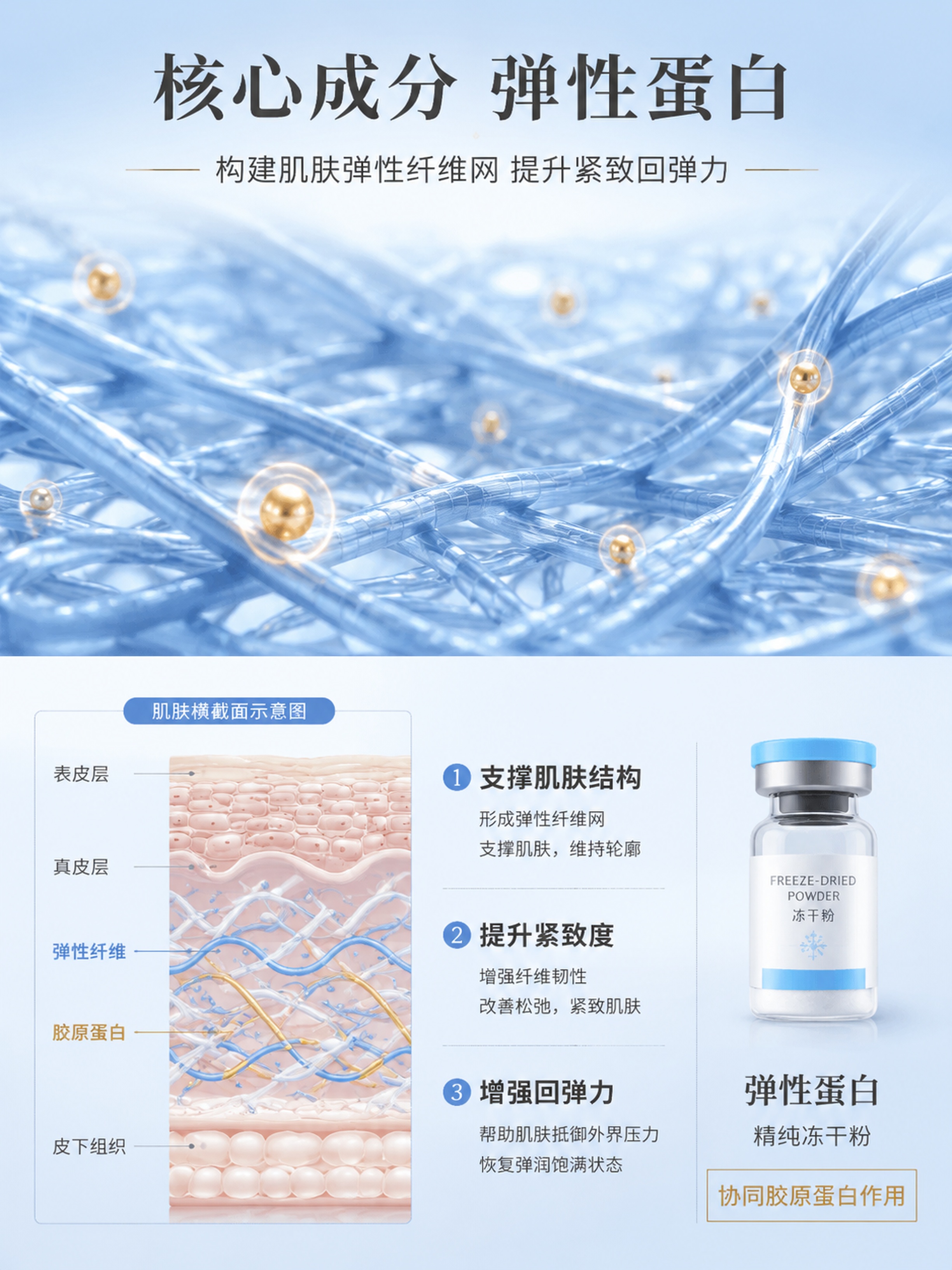 [第3张] 详情页核心成分页-弹性蛋白功效解析。 [氛围/风格… - 图片创意预览
