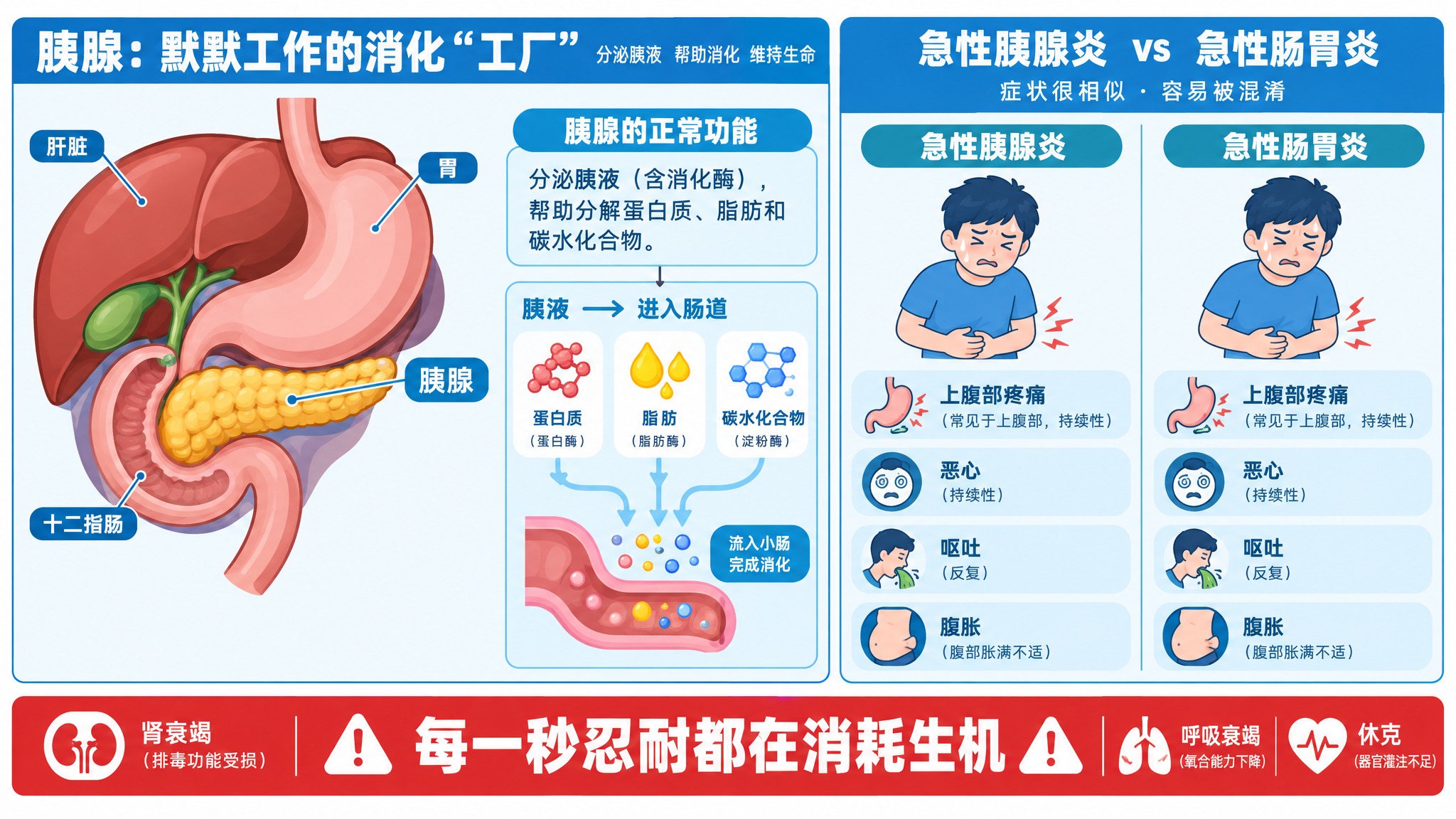 医学科普插画，主题为「为什么容易误认成肠胃炎？」。画面左侧展示… - 图片创意预览