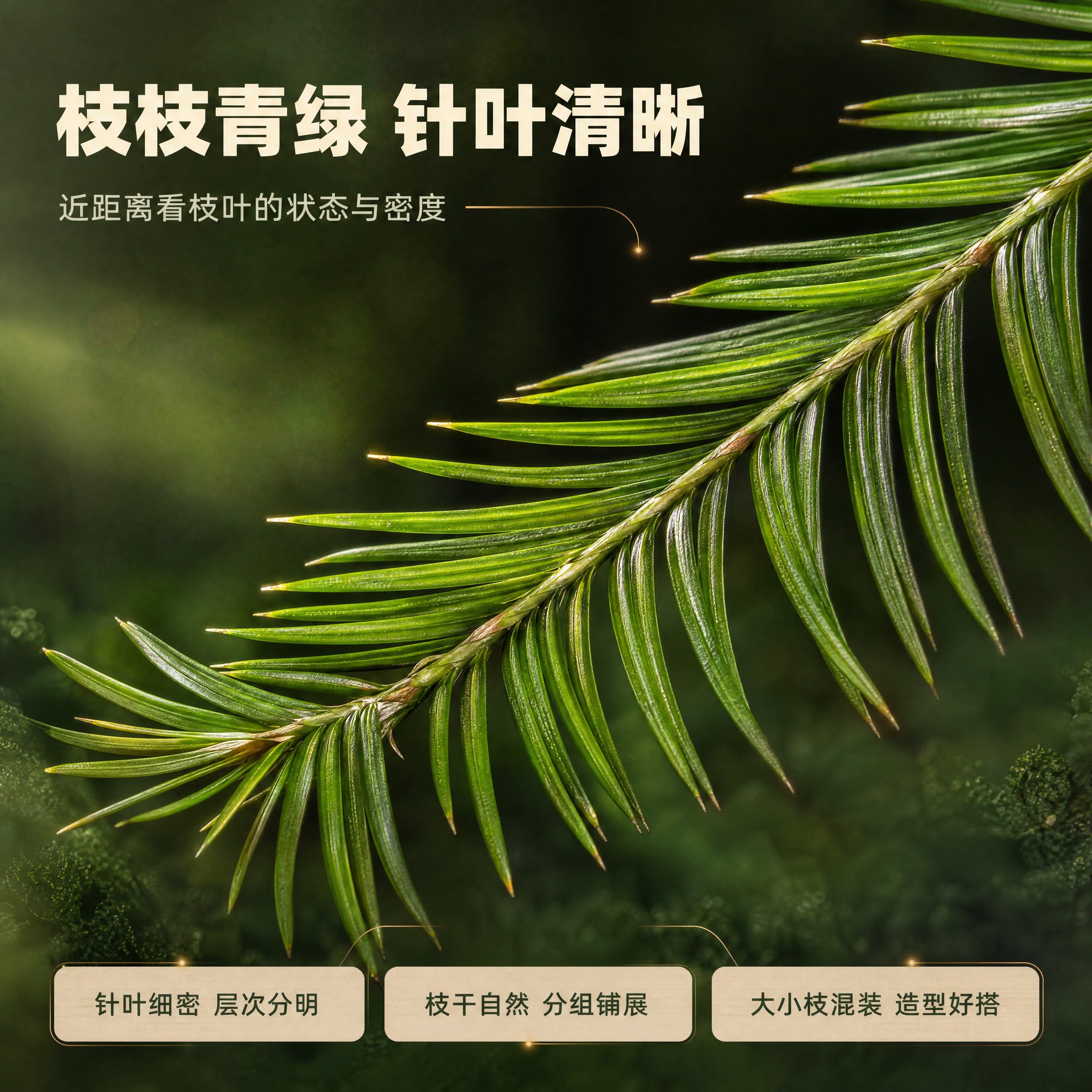 [商品] 使用【图3】的针叶纹理近景与【图2】的单枝形态作为微… - 图片创意预览