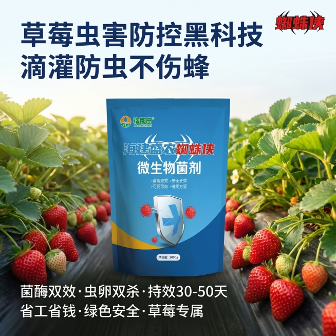 确认预览效果