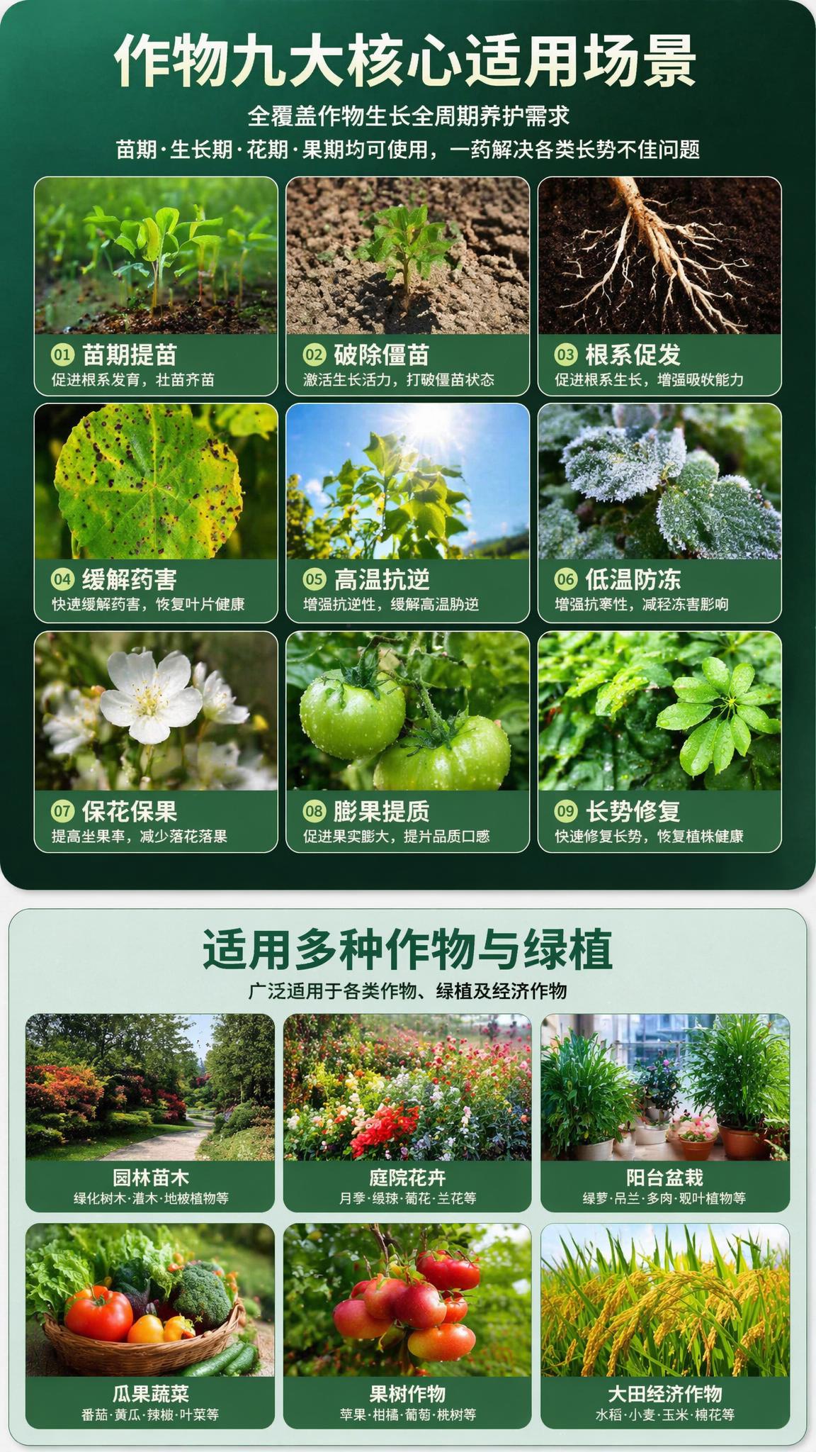 上方8K高清实景九宫格陈列，深绿渐变高级背景，规整展示作物九大… - 图片创意预览