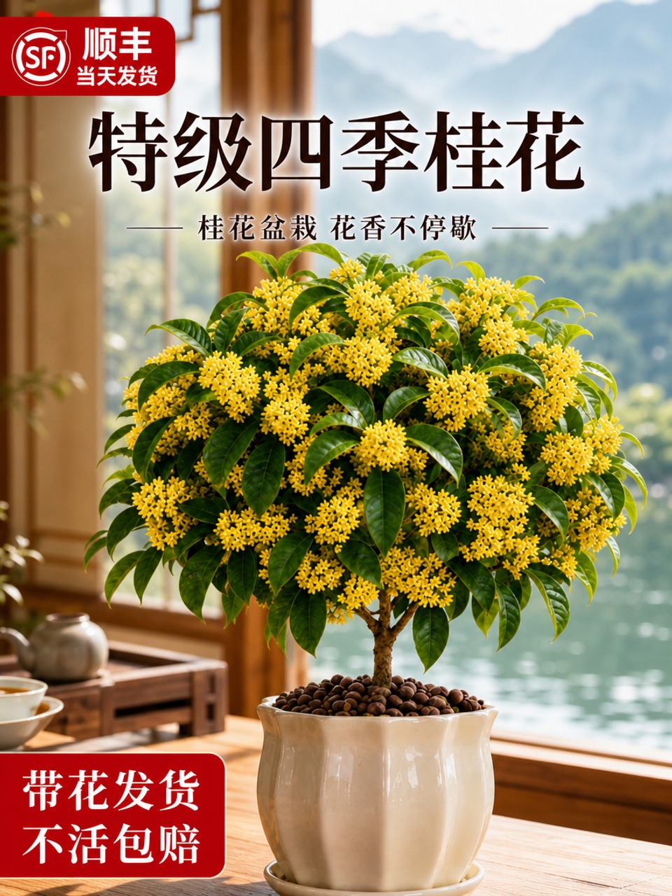 基于参考图生成淘宝天猫电商主图，3:4竖版比例，商品为特级四季… - 图片创意预览