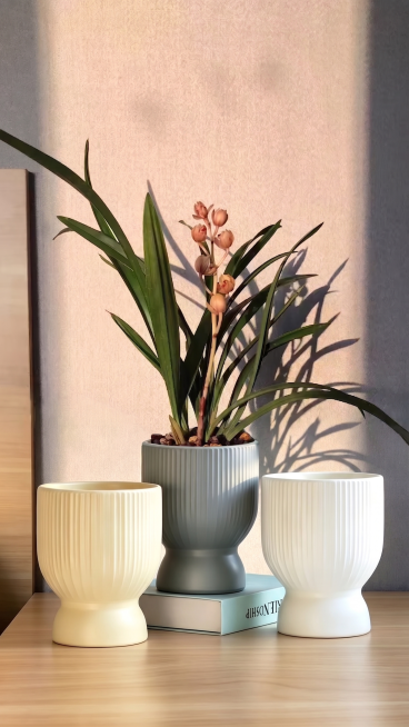 将图中灰色花盆里的植物替换成第二张图里的兰花，保持花盆、桌面、背景书籍和墙面光影不变，整体风格写实自然，光影效果和原图保持一致预览效果