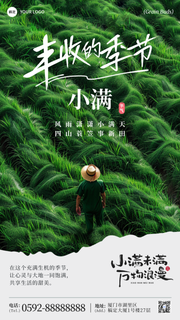 小满节气祝福草原之上绿色简约照片手机海报预览效果