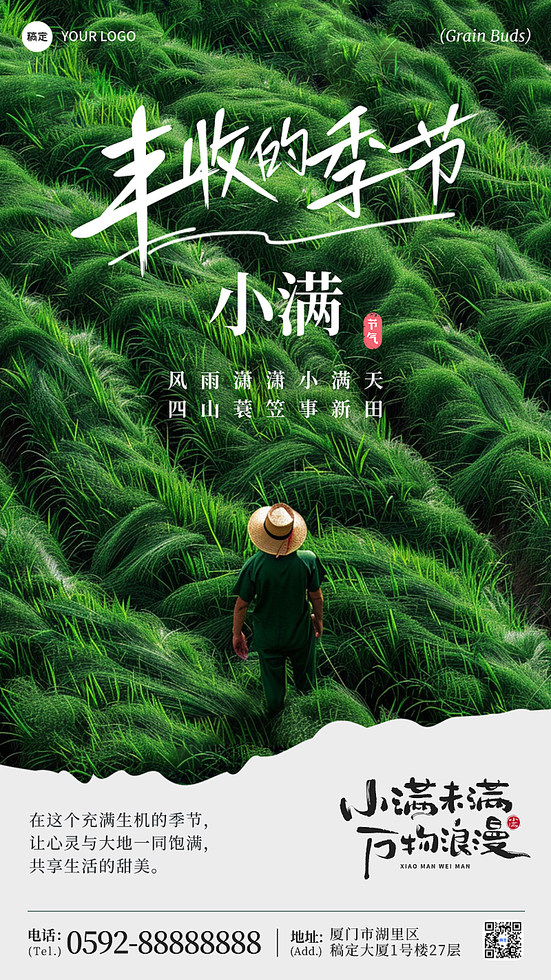 小满节气祝福草原之上绿色简约照片手机海报