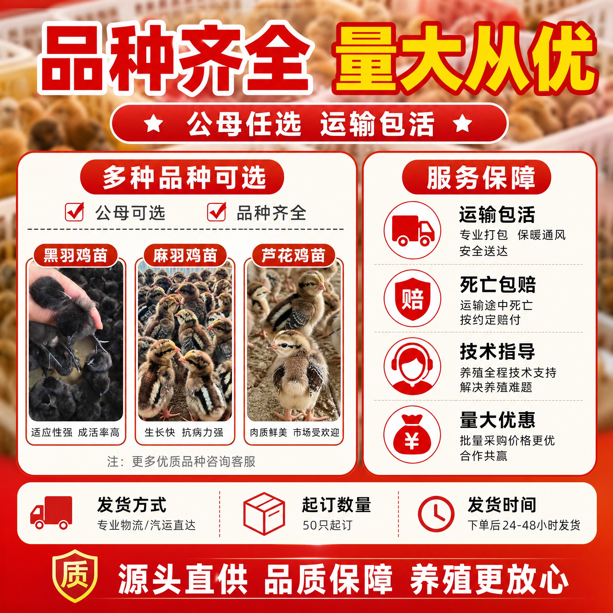 [主图-5] 规格服务决策，主题：品种齐全 量大从优 售后保障… - 图片创意预览