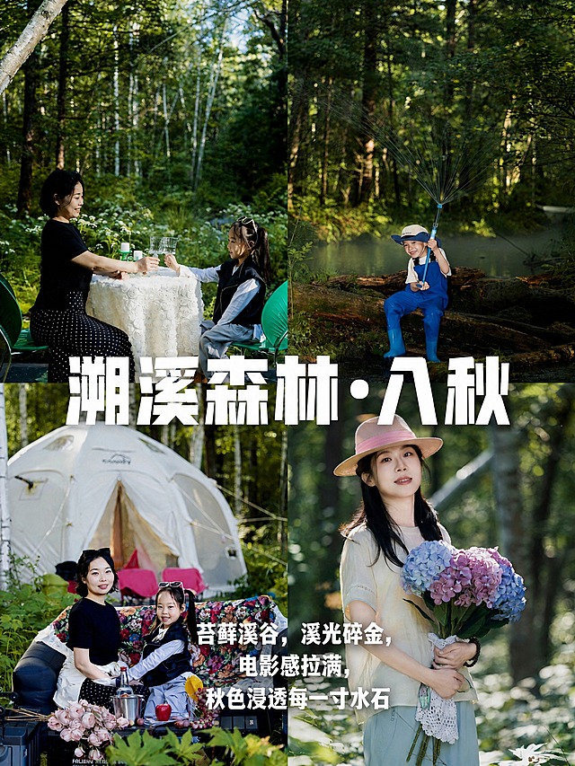 参考第一张图的版式骨架和排版结构，将第二张图的四宫格森林亲子照片作为主体，保持原图色调不做调色，在画面上叠加文字排版。版式复刻参考图的2x2四宫格拼图结构，主标题大字粗体叠加在画面中上部，副标题文字分布在画面中下部。具体文字内容：主标题大字为"溯溪森林·入秋"，副标题/描述文字为"苔藓溪谷，溪光碎金，电影感拉满，秋色浸透每一寸水石"。字体气质参考参考图的粗体大字风格，白色粗体字，清晰可读。保持第二张图的四宫格照片原图不变，不调色、不改变人物和场景，只在照片上方叠加文字排版。画面中所有文字必须准确无误，不得有错字、乱码。排版精美，主体突出，文字不遮挡关键人物面部。