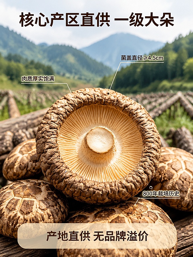 [主图-2] 干香菇产地溯源与核心规格展示主图
[氛围风格] 真实可信产地溯源风格，突出产品品质优势
[画质] 商业摄影质感、光线柔和通透、产品清晰真实、画面干净高级
[元素] 画面主体放置大朵完整干香菇，下方加入三大核心产区山林香菇种植基地风光做虚化背景，增加产地信任感；用引线标注法展示干香菇核心规格优势，分别指向干香菇不同位置；保持干香菇外观（物理结构、材质质感、颜色）与输入产品图绝对一致，杜绝任何变形和色差，精细化处理。商品主体占比严格控制在65%左右，画面满屏无边框
[光影] 自然光漫射，整体光线均匀柔和，突出产品和产地背景的层次，不出现生硬阴影
[配色] 主色调：香菇棕褐色+山林自然绿色；辅助文字色：深棕+米白，清晰可读
[视角构图] 平视拍摄，主体香菇居中，背景做虚化处理突出主体，景深较浅
[文字版式] 顶部主文案“核心产区直供 一级大朵”，深棕色粗体居中；引线分别标注：「菌盖直径≥4.5cm」「肉质厚实饱满」「800年栽培历史」，引线纤细不遮挡产品，文字小而清晰，放置在对应标注区域；底部浅米色半透明悬浮条放置服务承诺“产地直供 无品牌溢价”，深棕色文字居中，简洁可信。整体排版清晰，一图一重点，文字不遮挡主体
[输出要求] 3:4比例，文字清晰可辨，超高清商业摄影质感，width: 1536