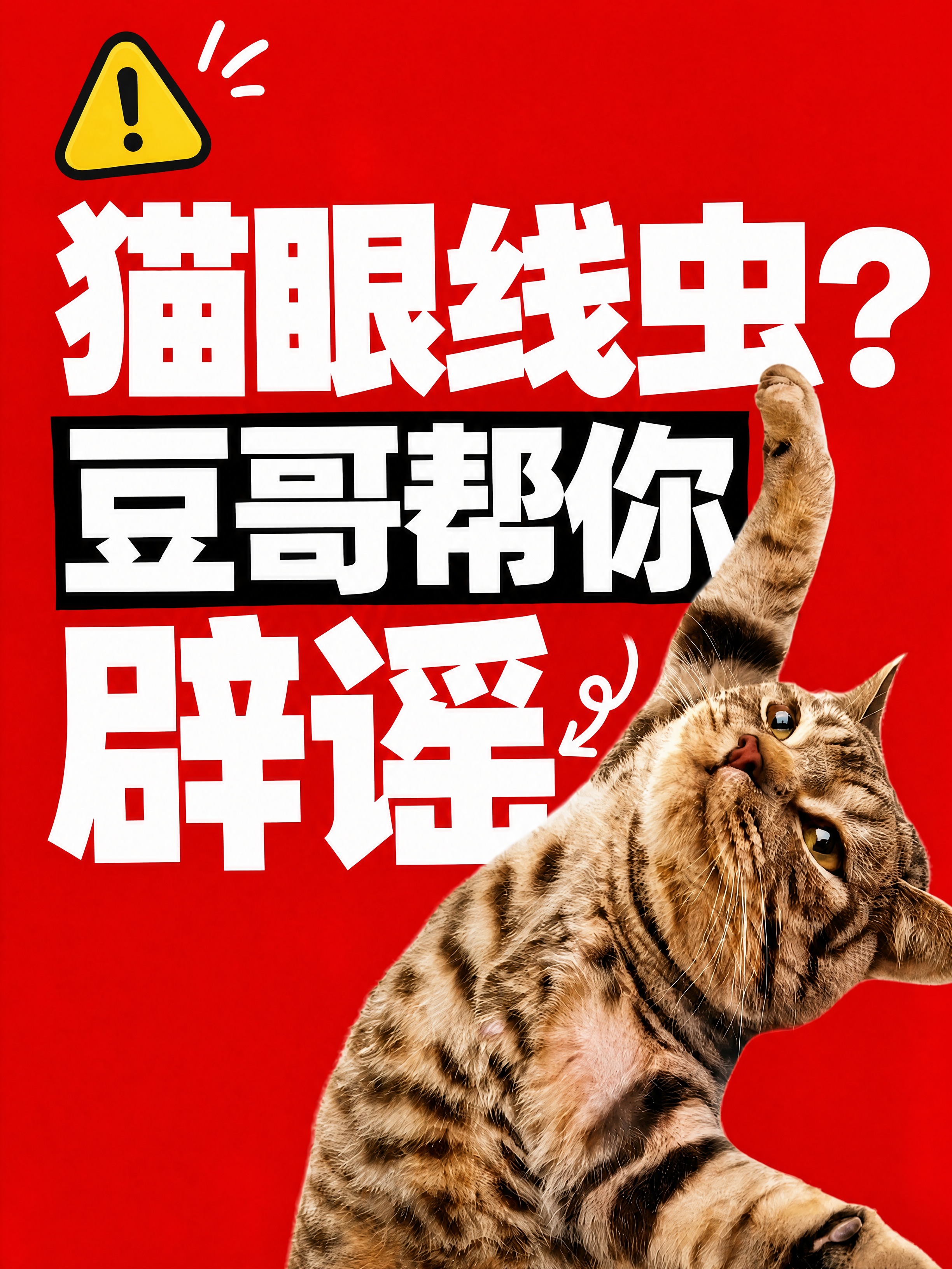 小红书笔记大字封面，配图大字，高饱和撞色警示风，版式精美，小红… - 图片创意预览