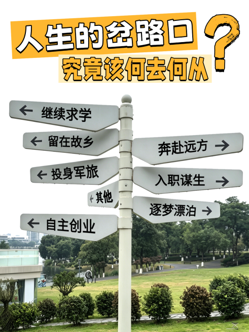 人生的岔路口抉择Q&A分享实景风小红书封面预览效果