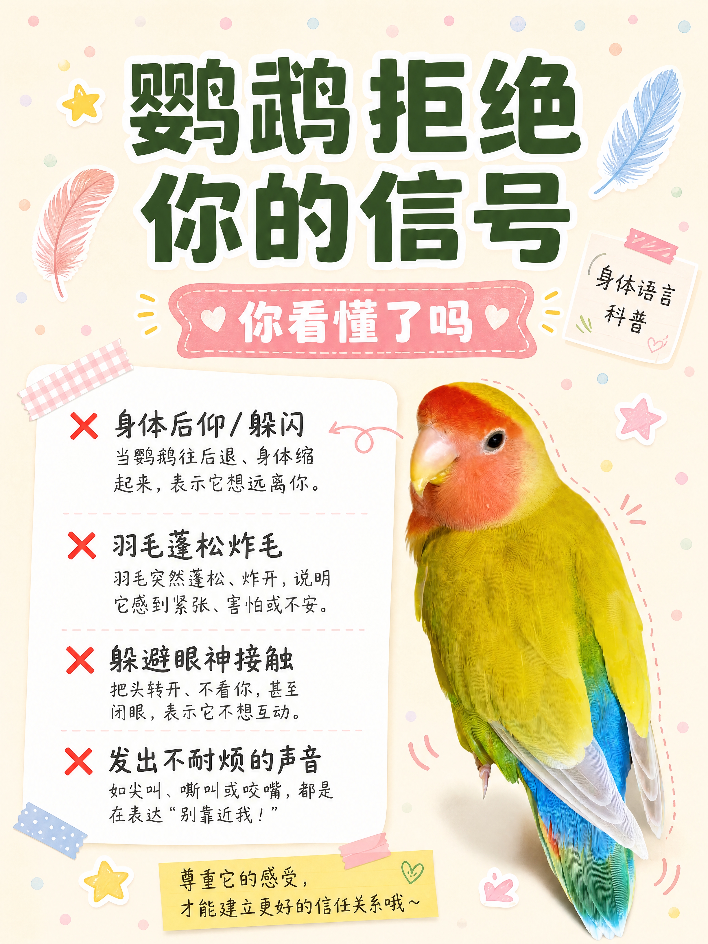 小红书笔记科普图文内页，配图大字+手账拼贴风格，版式精美，小红… - 图片创意预览