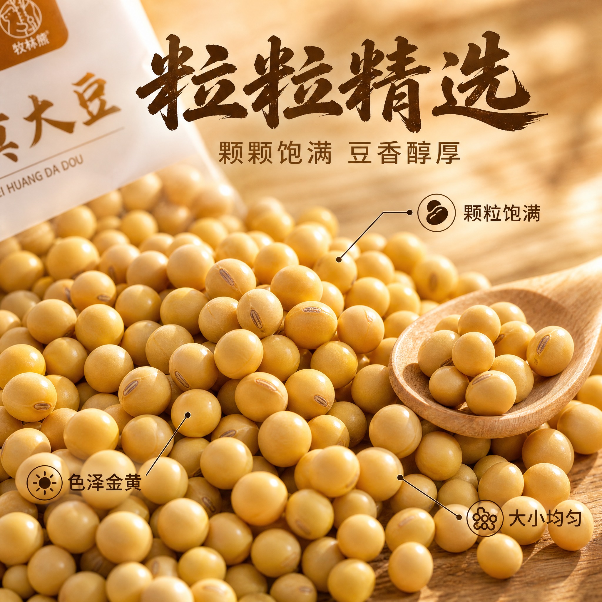 [主图-3] 东北黄大豆细节微距图，展示黄豆颗粒饱满度与品质细… - 图片创意预览