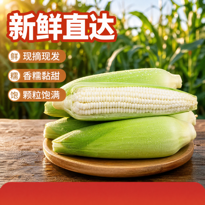 [主图] 白糯玉米新鲜生鲜首图。参照参考图(https://gdesign-dam-hz.dancf.com/36811742854368366/02cad3d5476a47fc86fc973515b预览效果