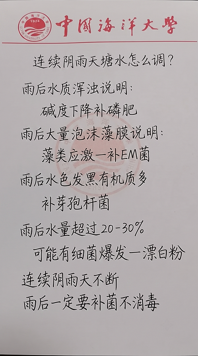 保留原图片中国海洋大学logo以及红色字体和横线的设计，参照原图片的黑色手写字体风格和颜色，替换生成新内容，一字不差保留用户提供的文字，排版布局合理，文字内容：连续阴雨天塘水怎么调?
雨后水质浑浊说明:
碱度下降补磷肥
雨后大量泡沫藻膜说明:
藻类应激一补EM菌
雨后水色发黑有机质多 
补芽孢杆菌
雨后水量超过20-30%
可能有细菌爆发一漂白粉
连续阴雨天不断
雨后一定要补菌不消毒