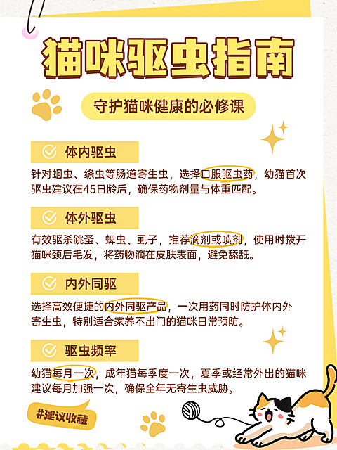 简约宠物猫咪健康知识科普小红书封面配图