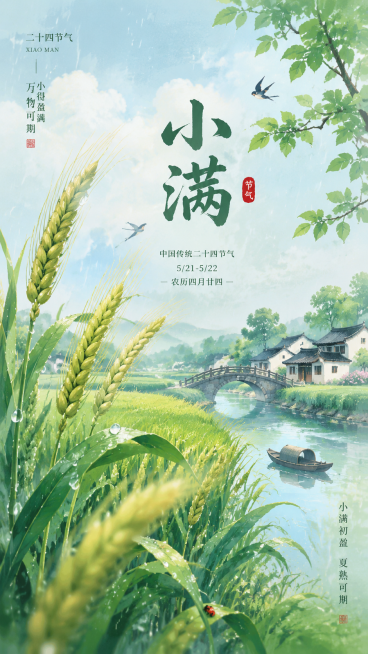 二十四节气小满创意海报，国风插画风格，初夏稻田麦穗饱满，雨水滴落麦芒，江南水乡乡间场景，突出"小满"主题文字，清新治愈配色，高清质感，32K分辨率预览效果